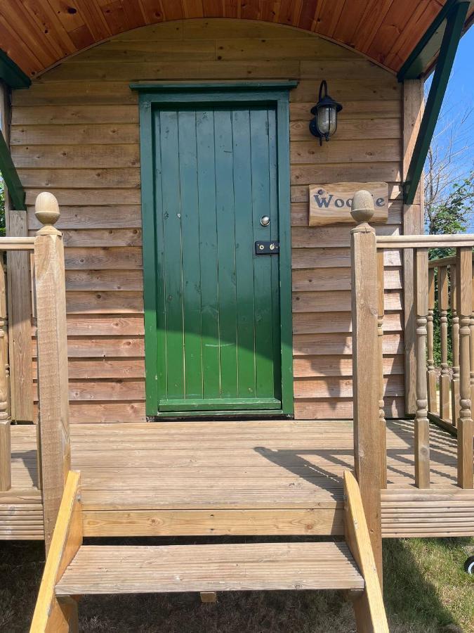 Woodie The Shepherds Hut - Sleeps 4 Chichester Bagian luar foto