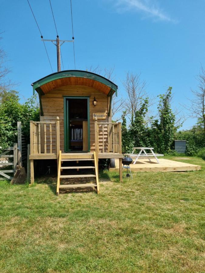 Woodie The Shepherds Hut - Sleeps 4 Chichester Bagian luar foto